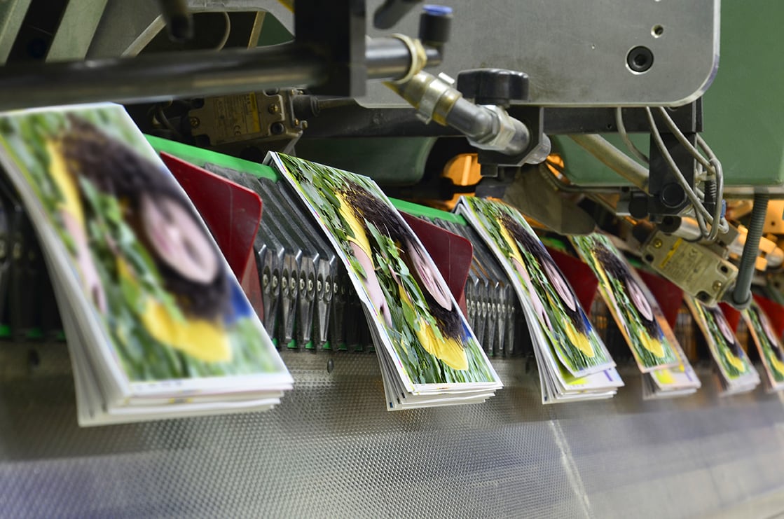 6 Things to Keep in Mind For Commercial Printing Jobs - Blog Post